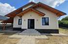 Casa Hemeius - constructie 2026 - 11