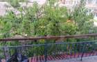 APARTAMENT DE VANZARE UIOARA DE SUS 54 MP - 7
