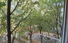 Apartament 2 camere Alexandru cel bun ! - 1