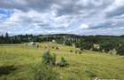 Teren intravilan in Marisel, 1000 mp, expunere sudica, investitie sigura - 1