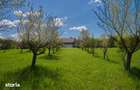 Casa Valea Mare Pravat (Campulung-Arges ) - farmec interbelic - 16