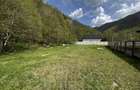 Teren Clopotiva - Rau de Mori - Retezat - 5