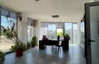 Spatiu comercial / birouri - 660 mp, Bulevardul Nicolae Titulescu - 18