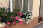 Proprietar vand casa in Fratelia - 7