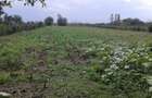 !! URGENT !!Teren de vanzare in Criva de Sus, str.Fundeni - 4