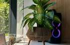 Studio de inchiriat cu ora Brasov Coresi Qualis ll | yoga, fitness, workshop, foto-video - 8