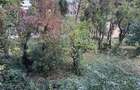 Apartament cu 2 camere,Gemenii