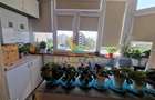 4 camere Brancoveanu Huedin Center loc parcare mobilat - 3