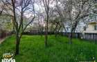Casa in inima statiunii Covasna, cu gradina, vie si pomi fructiferi - 10