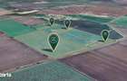 Teren agricol de 11,75 ha de vanzare, la 1,5 km de Turnu, jud. Arad - 3