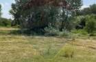 Teren-5000mp DN Ganeasa,sat Sindrilita,T9/Parcela 32/37 - 2