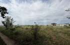 Parcela 702 mp, dubla deschidere, Carcea - Metro - 4