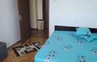 Chirie Apartament 3 camere Vest Kaufland - 7