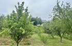 Casa P+M Chicerea Tomesti 2.200 mp teren, 30 ml asfalt, livada matura - 1