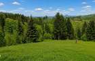 Bran Mountain Retreat - doar 3 case superbe la munte. - 8