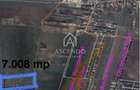 Vanzare teren 7.000 mp Buftea, zona Tamasi | langa padure