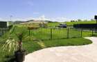 Casa de vanzare Sangeorgiu de Mures | 700mp teren I 3 dormitoare - 2