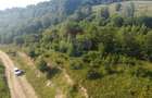 Teren de vanzare in Salicea, 10000 MP , Zona Moara de vant! - 5