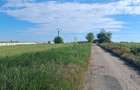 Teren agricol 1000mp, acces asfaltat, 35.000 EUR - 5