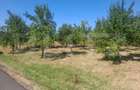 Teren constructii, 2493 mp, zona Central - 10