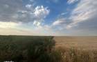 Teren intravilan, 9500 mp, Carcea