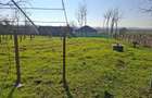 Casă cu 2 camere în Ion Roată - 7