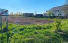 Teren intravilan de vanzare - 3900 mp (39 ari) - Siret - intrare Negostina - 2