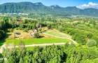 Teren intravilan zona Bran-Tohanita,langa padure intre 500 si 1000 m - 11