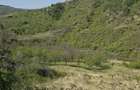Teren extravilan Valea Fantanii, Comuna Odaile - 4
