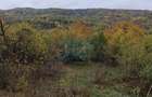 Vanzare sau Schimb! Central Drajna de Jos 5000 mp - 8