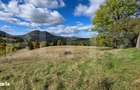 Teren 1,5 hectare - la Piatra Fantanele - 1