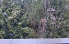 3 camere/ 10 min Metrou/ 68 mp - 20