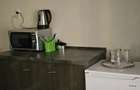 studio strada nicopole - 4