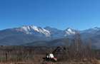 TEREN VALEA AVRIGULUI, PANORAMA SUPERBA - 12