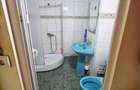 Vanzare apartament 2 camere decomandat, Malu Rosu, parter inalt - 10