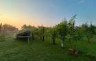 Casa de vis in Delta Dunarii, Gorgova | Liniste, natura si independenta energetica - 3