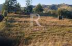 Teren Intravilan | 3.000 mp | Garda de Sus | Alba |