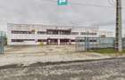 Hală de producție, cu birouri și teren, în Sebiș - 46