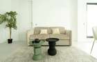 Duplex 3 camere Parcul Carol, Centru, Unirii, Bucuresti - 8
