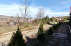Teren intravilan 3.798 mp in Agnita, cu posibilitate de parcelare - 4