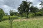2 case, teren 7500mp, Batuta, Arad - 2