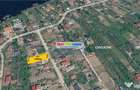 Teren 709 mp Snagov Ciofliceni str Matei Corvin utilitati - Ciofliceni (Bucuresti-Ilfov) - 5
