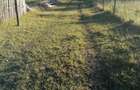 Teren 3.200 mp Sadova Piraul Morii - 11