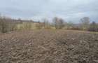 Casă cu 4 camere cu Teren 3000 Mp în Cireșu - 2