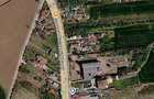Teren intravilan 900 mp deschidere 31 m la DN1 Ciolpani, Ilfov - 3