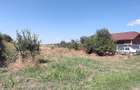 Ofer GRATIS spre folosin?a teren intravilan 800 mp in Amara pentru agricultura gradina - 3