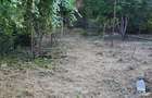 Teren de vanzare in zona Bascov , 1844mp - 7