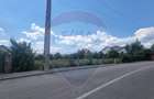 Teren intravilan 11.500?mp Strada Cismari Valenii ... - 3