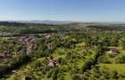 Teren intravilan 5.105 mp, Baia Sprie, la intrare pe Valea Chiuzbaii