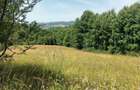 Teren in Capet, Sovata 2500mp - 5